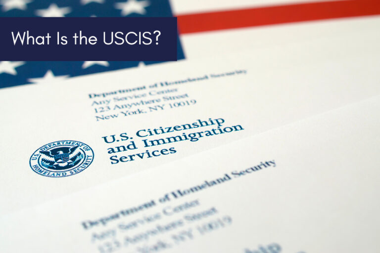What are USCIS certified document translation requirements?